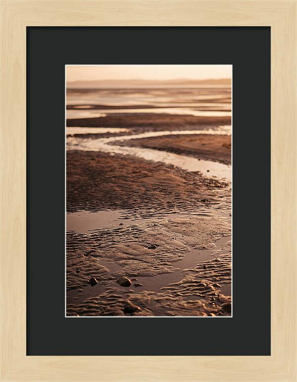 Tidal Flats At Low Tide