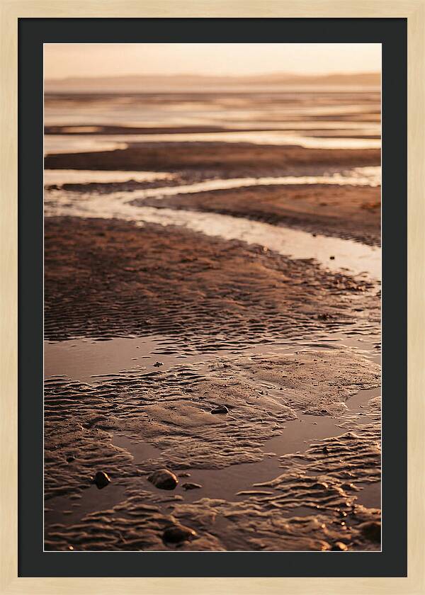 Tidal Flats At Low Tide