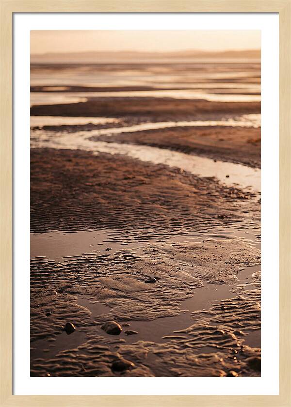 Tidal Flats At Low Tide