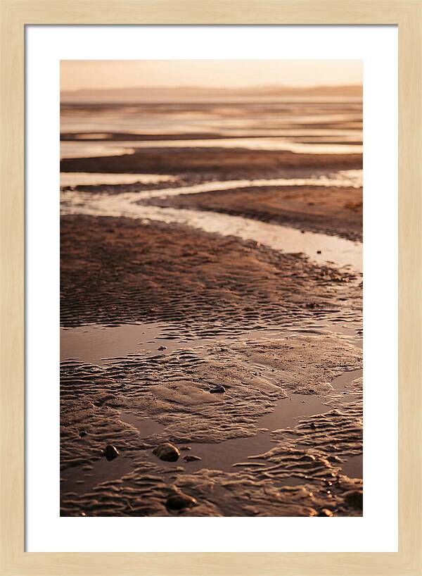 Tidal Flats At Low Tide