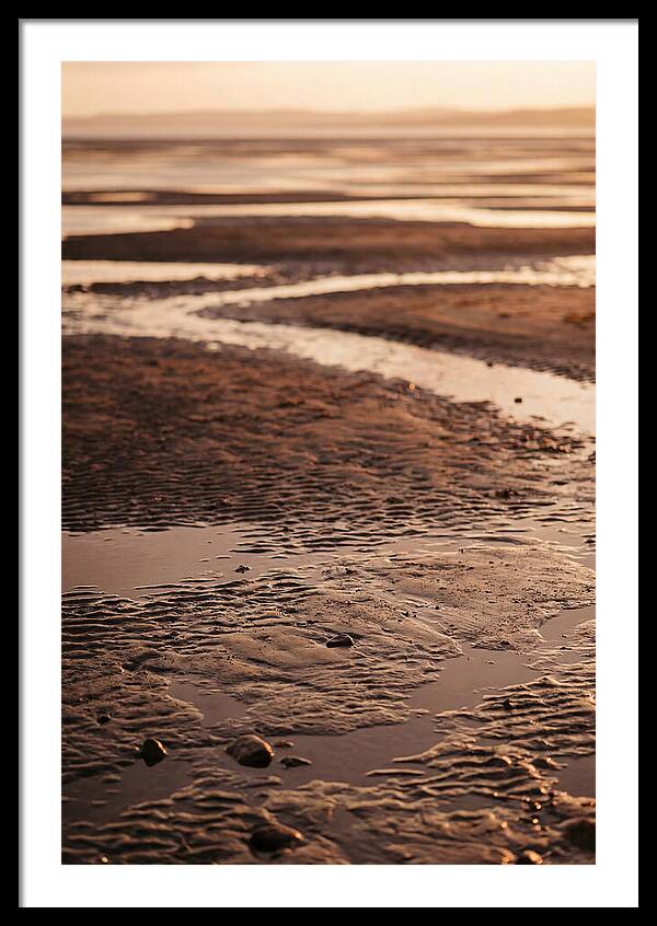 Tidal Flats At Low Tide