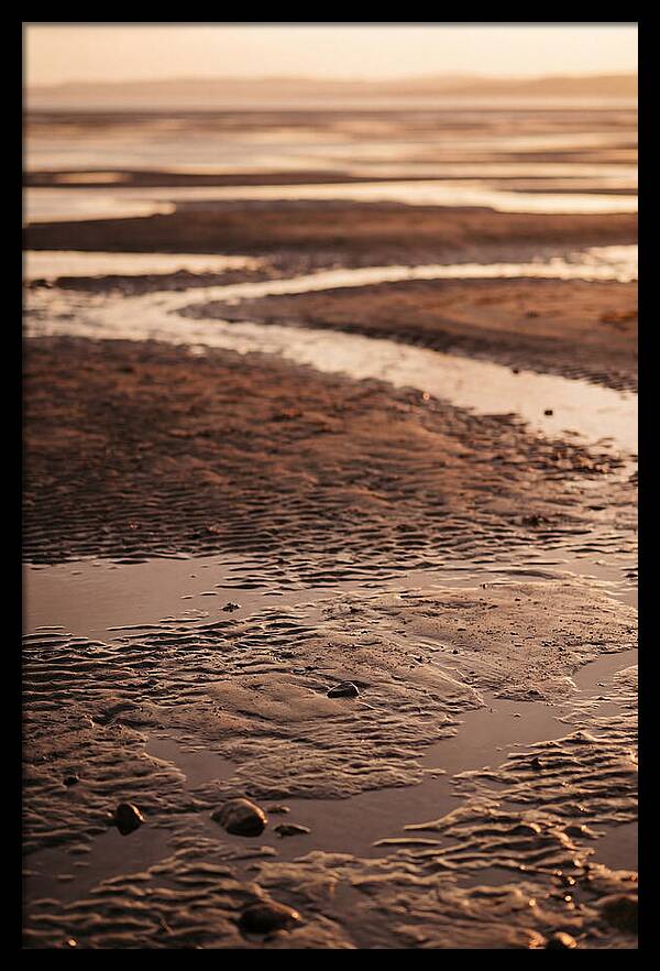 Tidal Flats At Low Tide