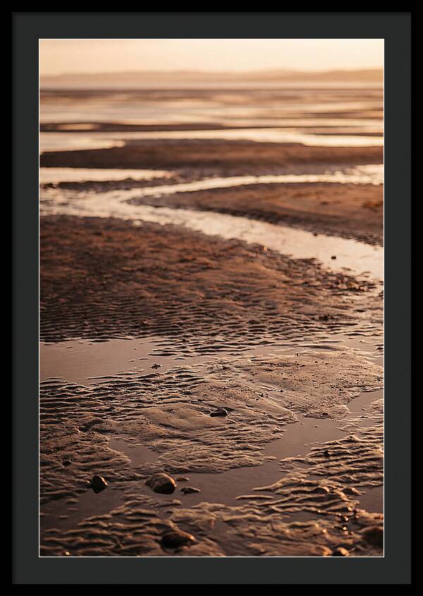 Tidal Flats At Low Tide