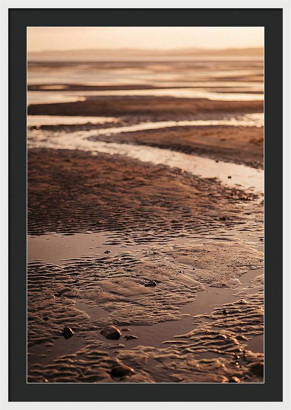 Tidal Flats At Low Tide