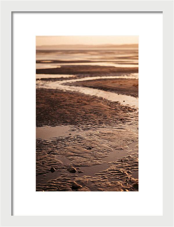 Tidal Flats At Low Tide
