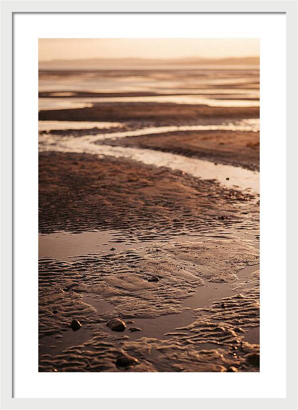 Tidal Flats At Low Tide