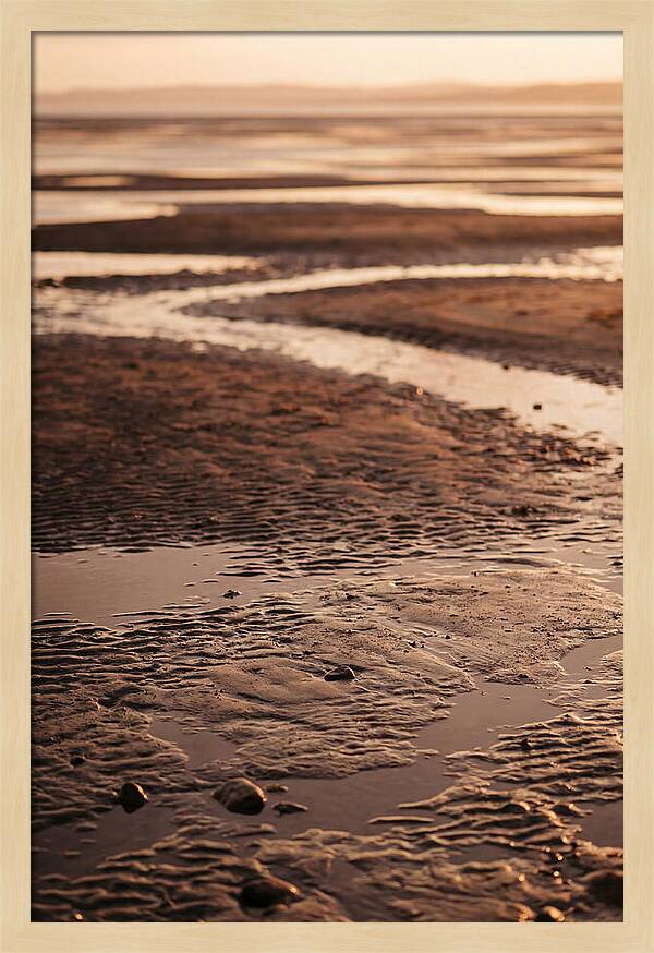 Tidal Flats At Low Tide