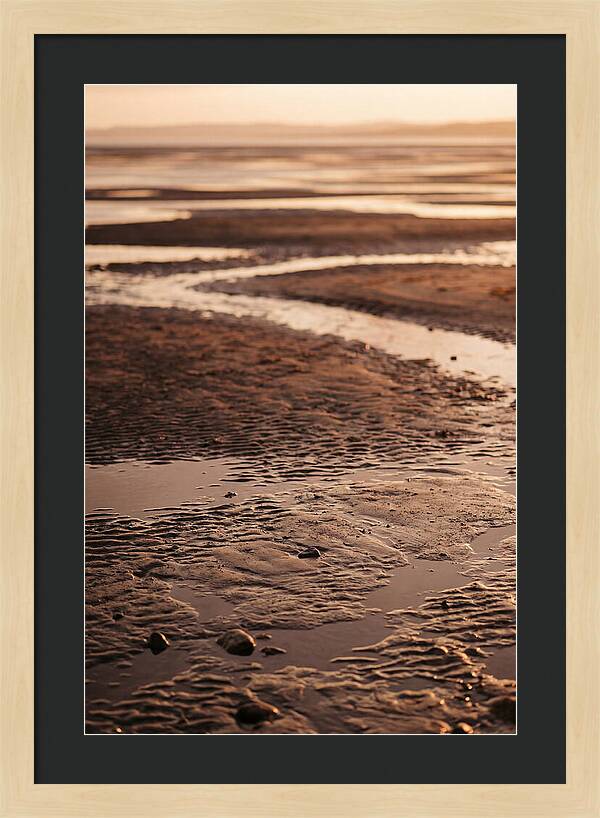 Tidal Flats At Low Tide