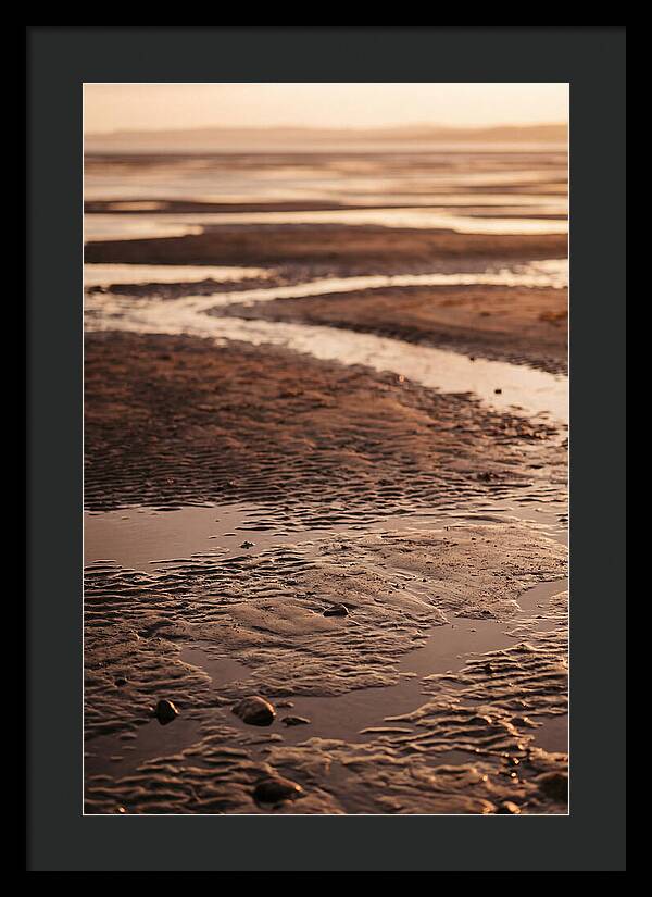Tidal Flats At Low Tide