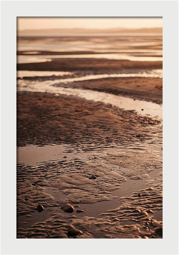 Tidal Flats At Low Tide
