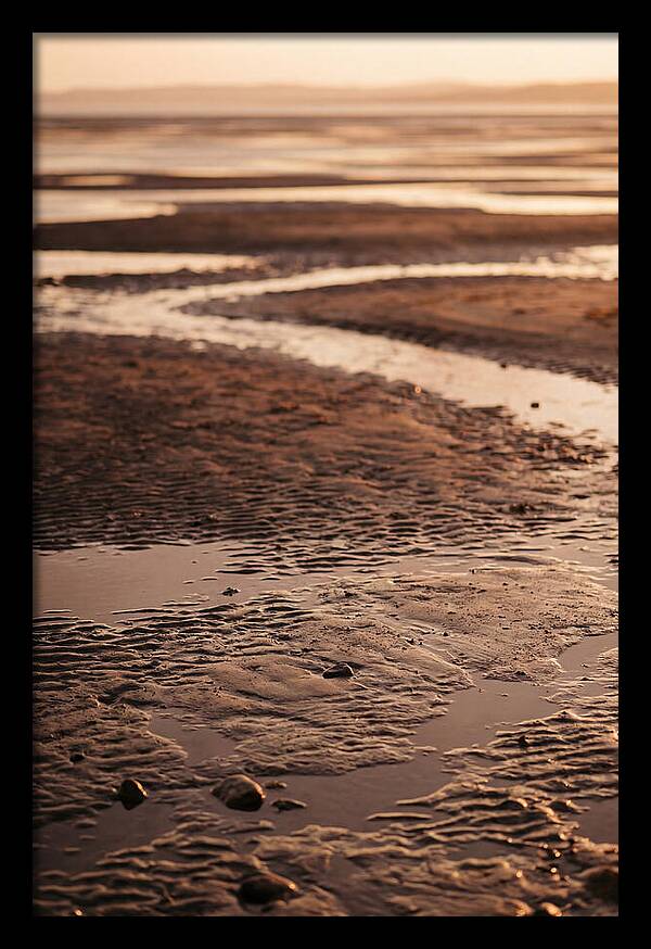 Tidal Flats At Low Tide