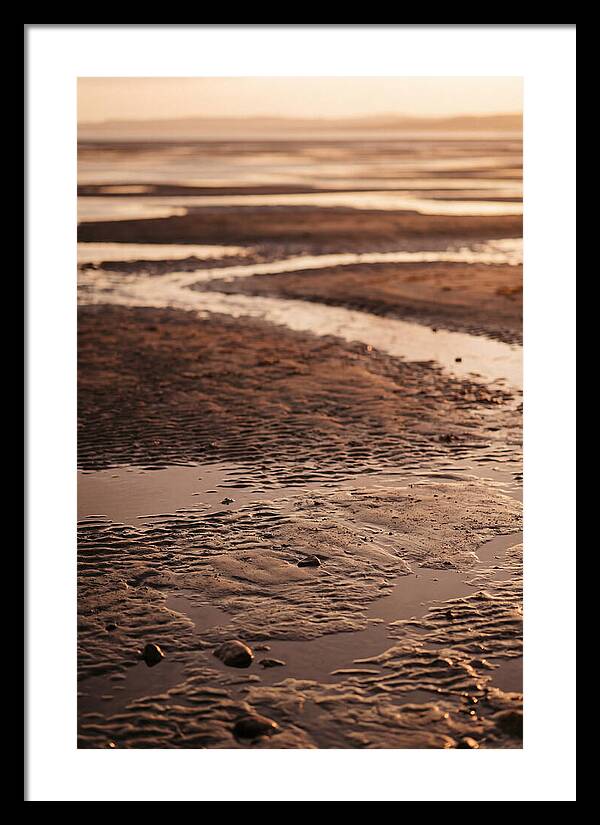 Tidal Flats At Low Tide