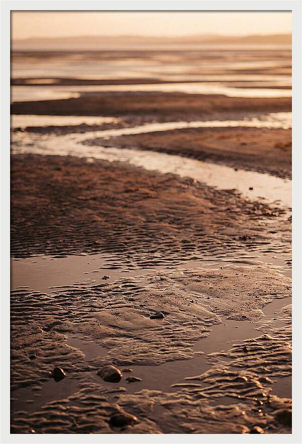 Tidal Flats At Low Tide