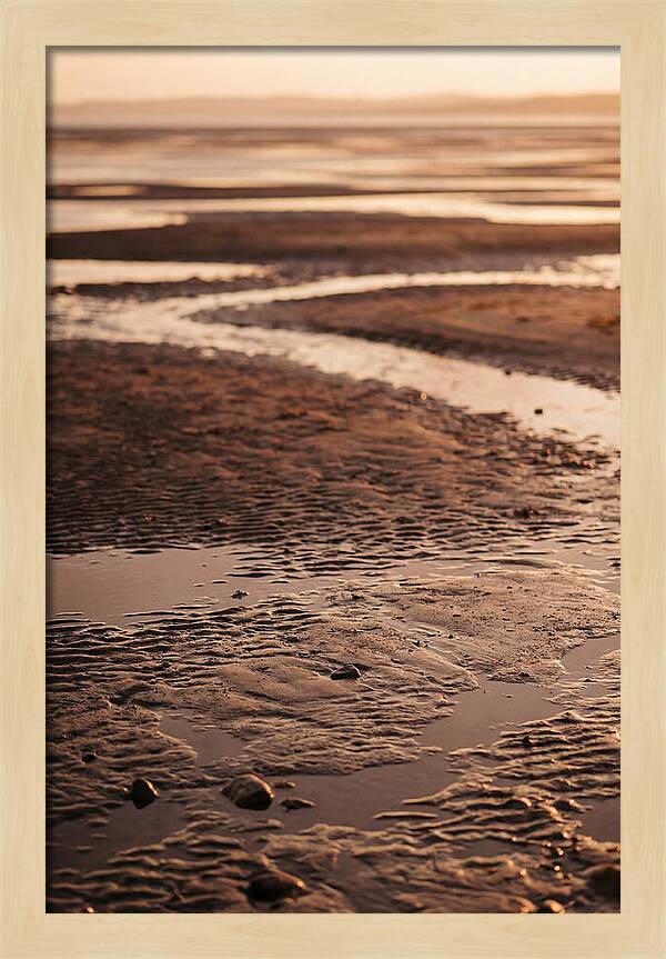 Tidal Flats At Low Tide