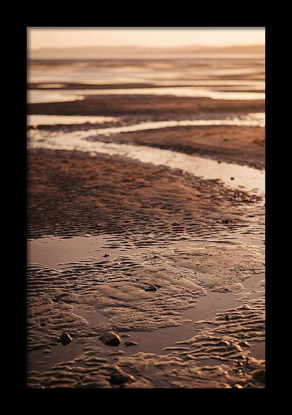 Tidal Flats At Low Tide