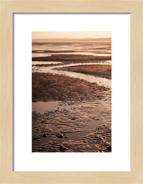 Tidal Flats At Low Tide