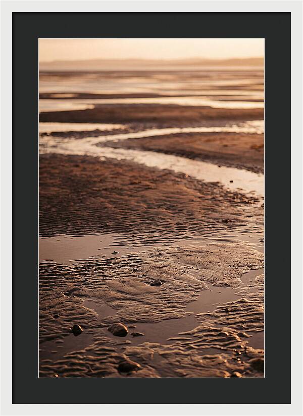 Tidal Flats At Low Tide