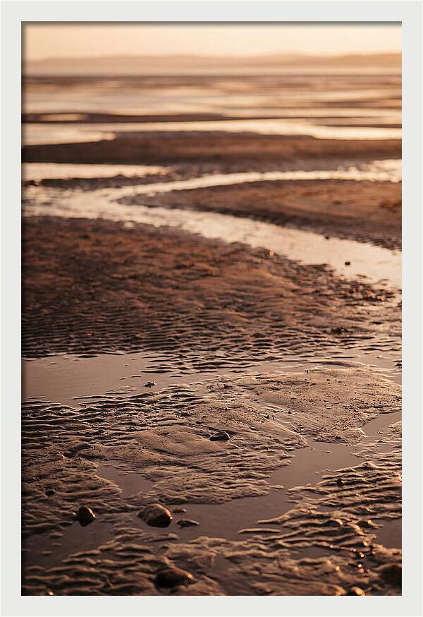 Tidal Flats At Low Tide