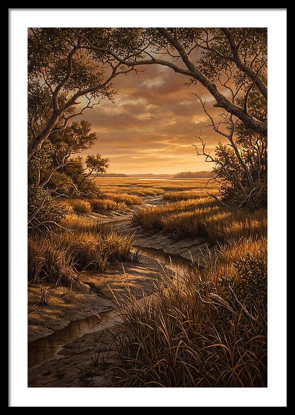 Tidal Marsh At Sunset