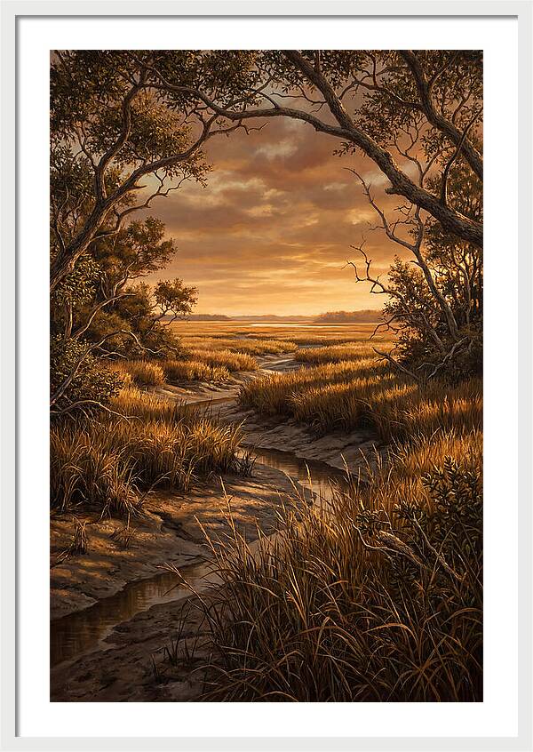 Tidal Marsh At Sunset