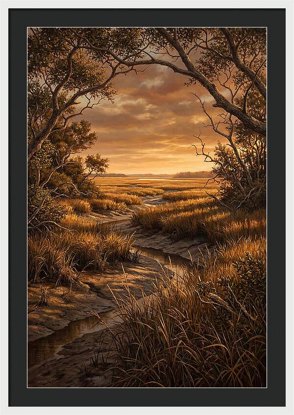 Tidal Marsh At Sunset