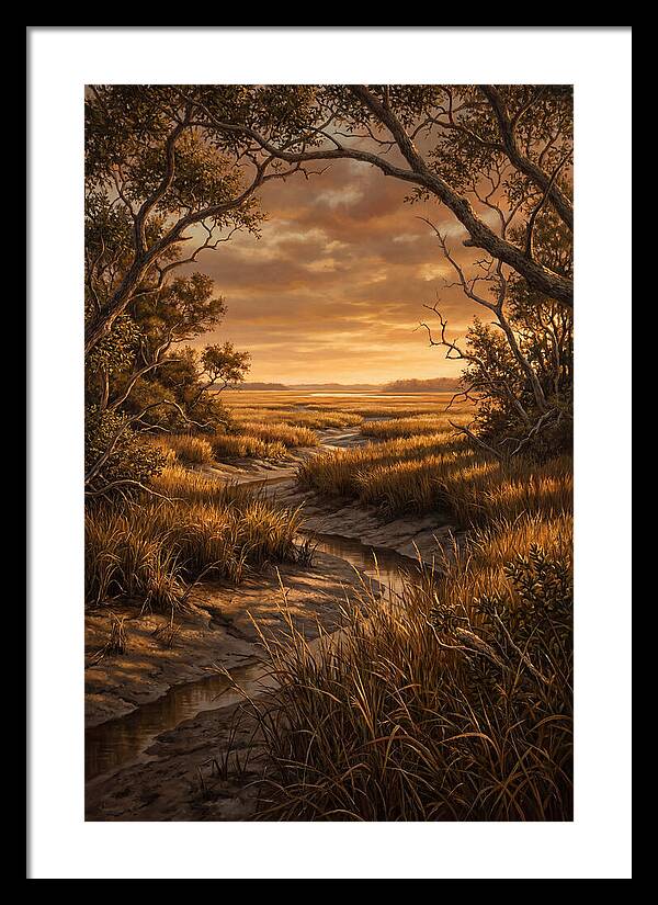 Tidal Marsh At Sunset