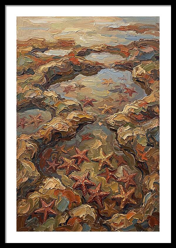 Tidal Pools Teeming With Starfish