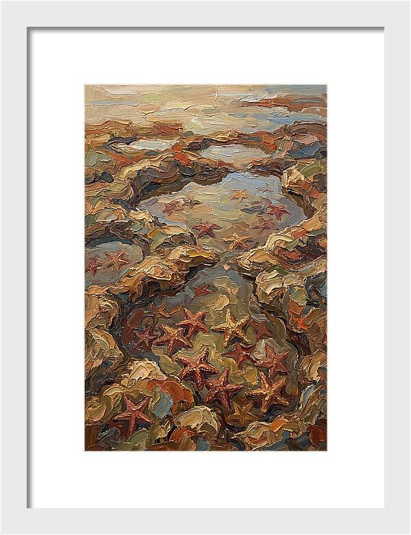 Tidal Pools Teeming With Starfish