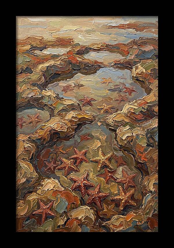 Tidal Pools Teeming With Starfish
