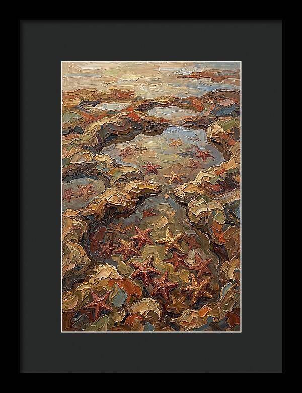 Tidal Pools Teeming With Starfish