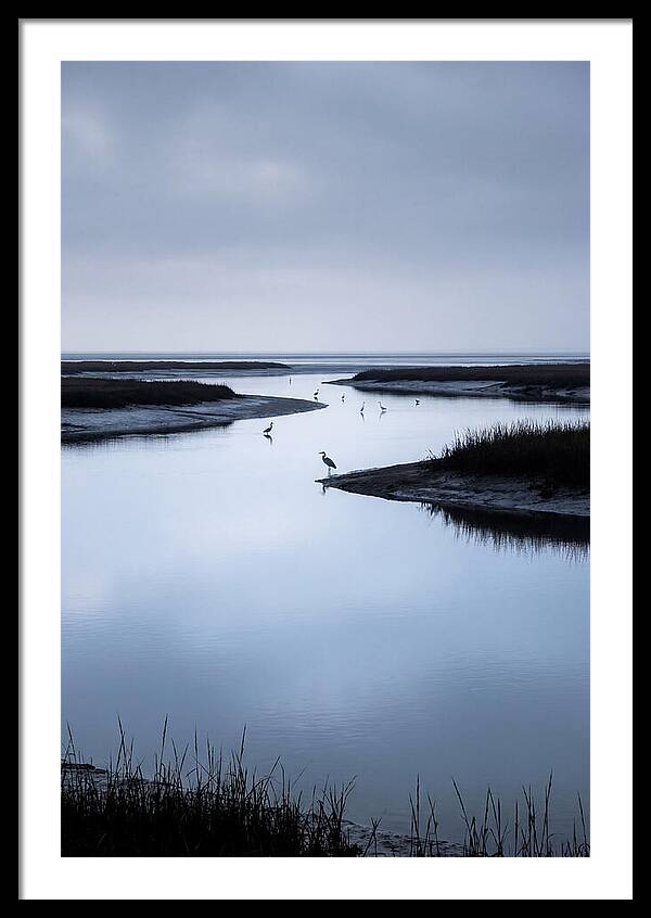Tidal River Serenity