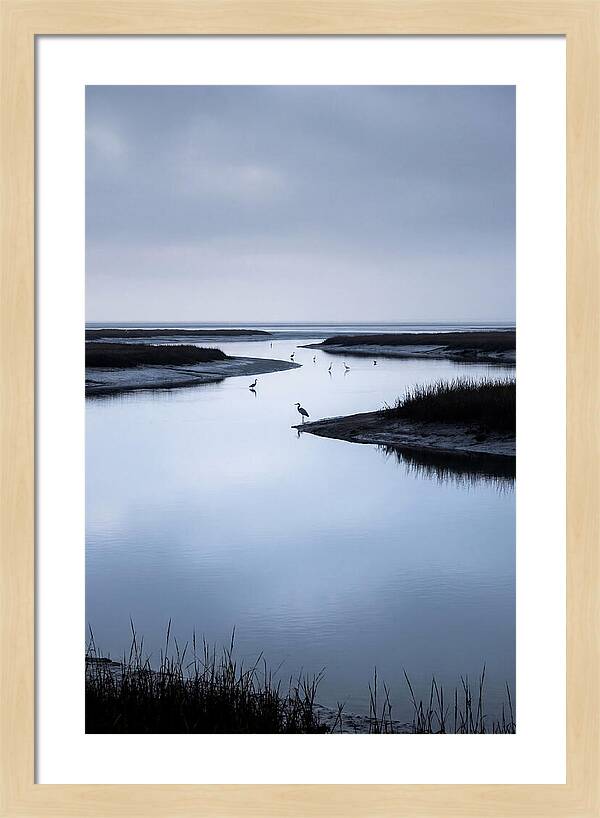 Tidal River Serenity