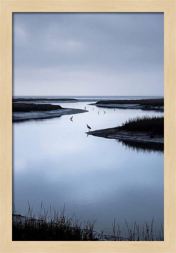 Tidal River Serenity