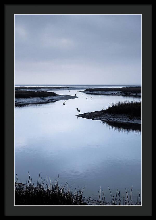 Tidal River Serenity