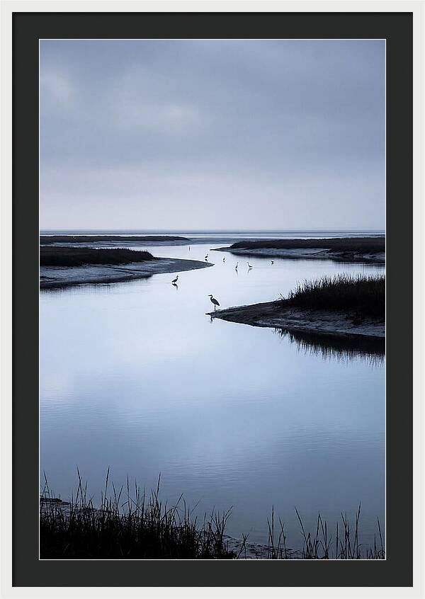 Tidal River Serenity
