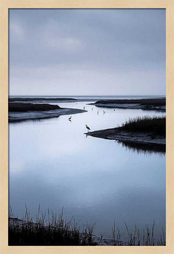 Tidal River Serenity