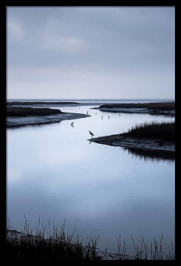 Tidal River Serenity