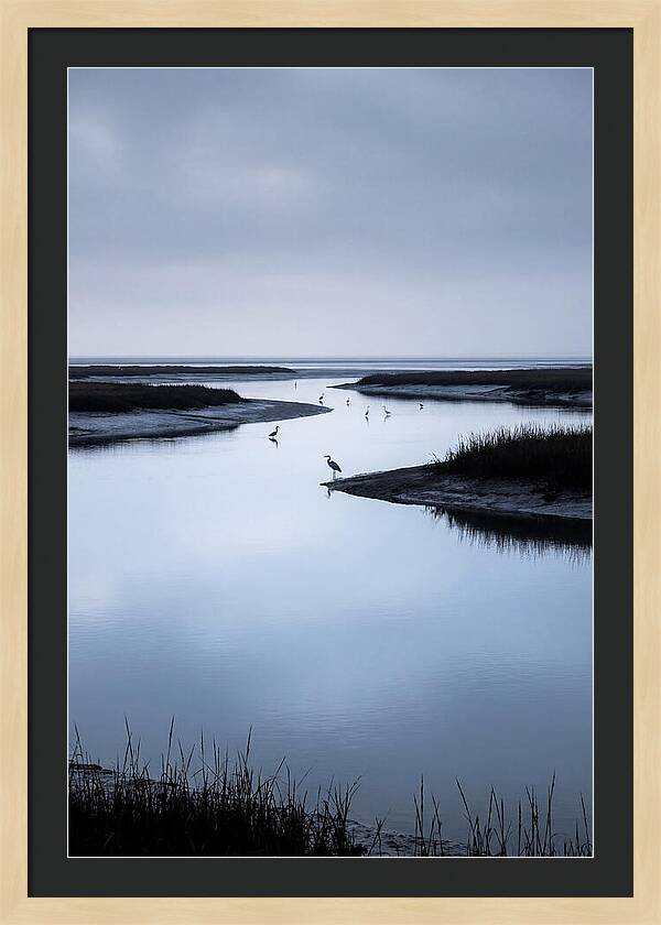 Tidal River Serenity