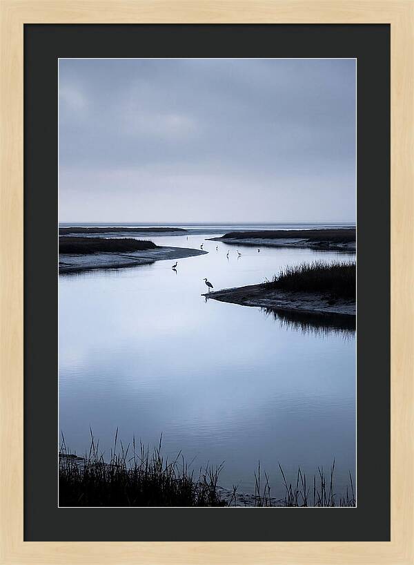 Tidal River Serenity