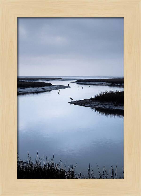 Tidal River Serenity