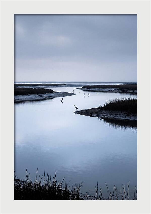 Tidal River Serenity