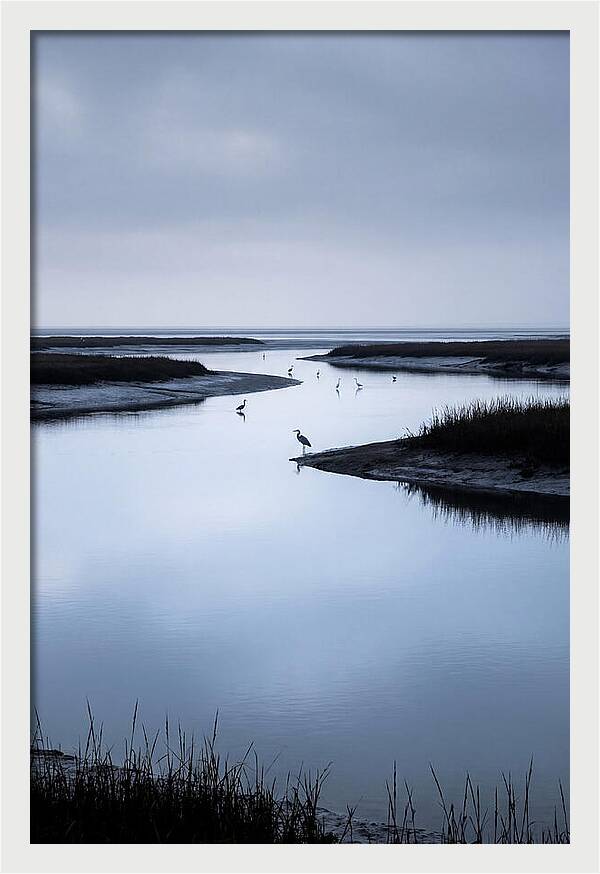 Tidal River Serenity