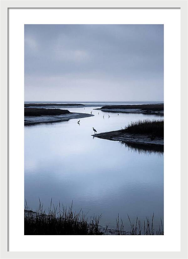 Tidal River Serenity