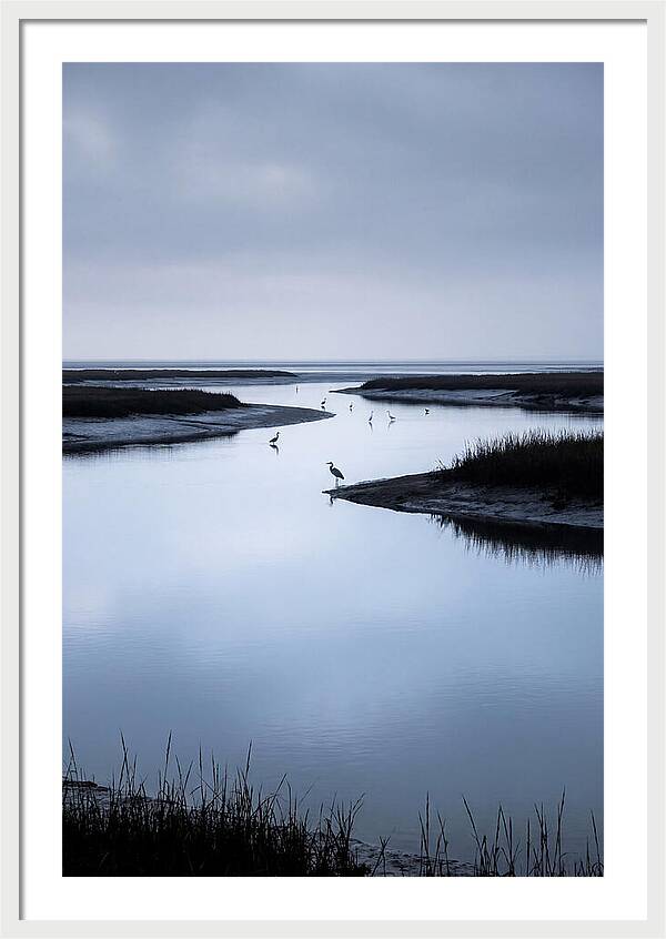 Tidal River Serenity