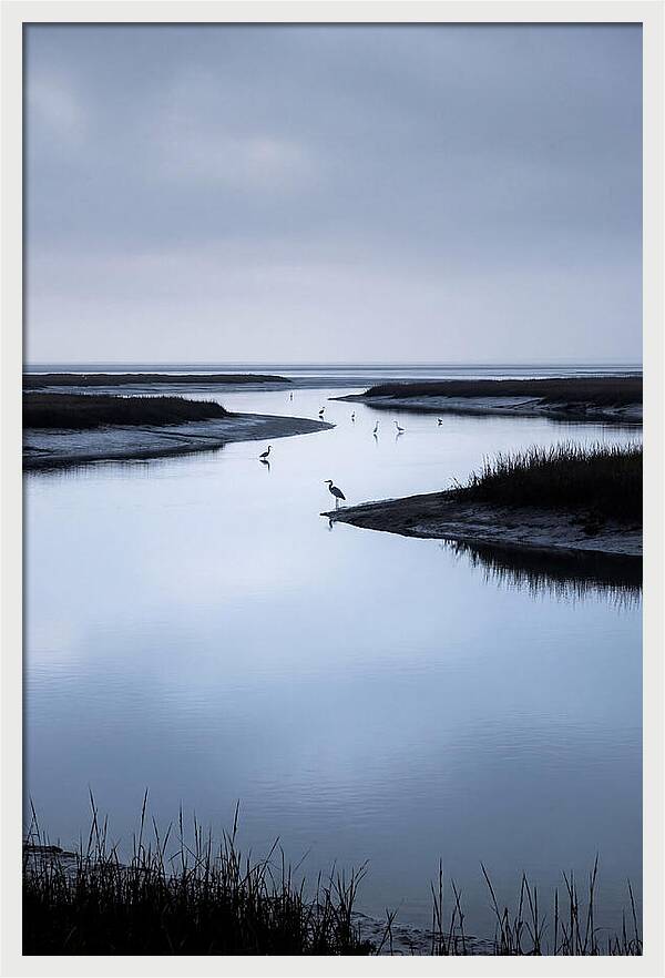 Tidal River Serenity