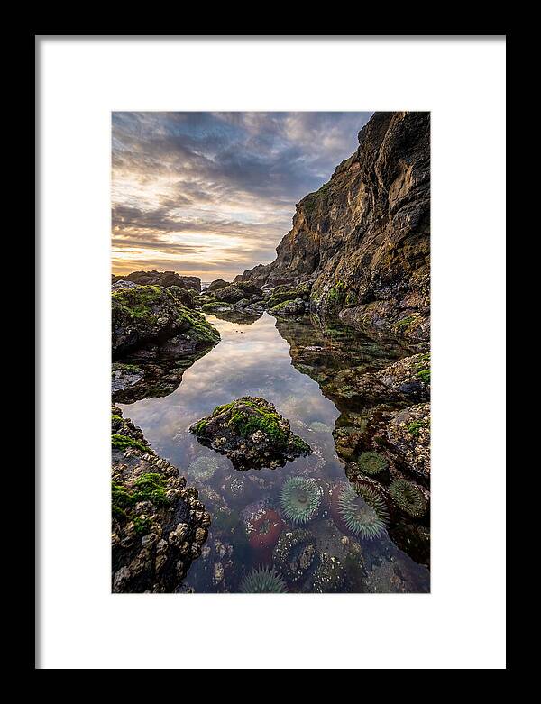 Tide Pool Reflections