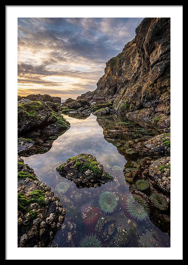 Tide Pool Reflections