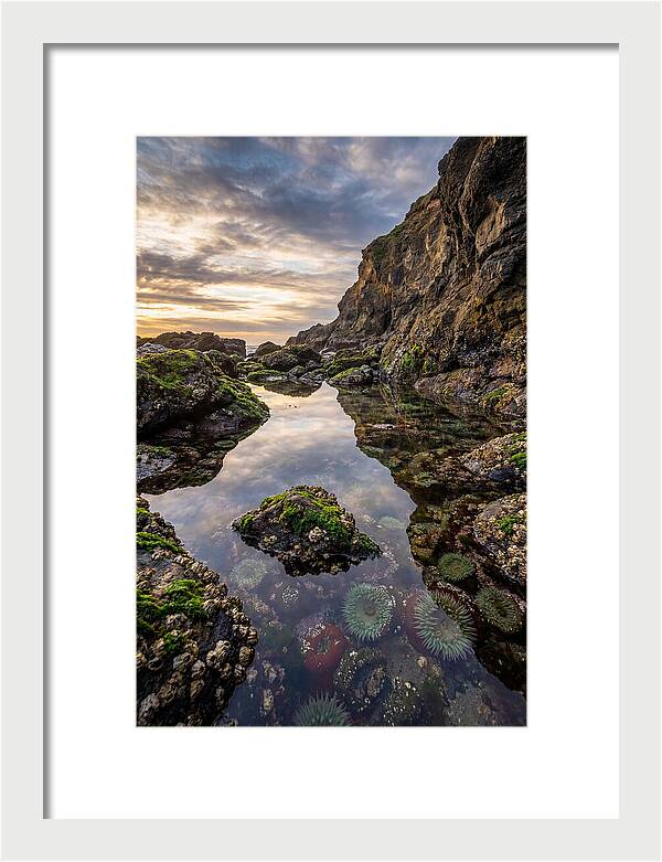 Tide Pool Reflections