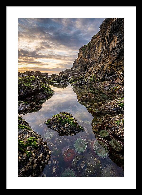 Tide Pool Reflections