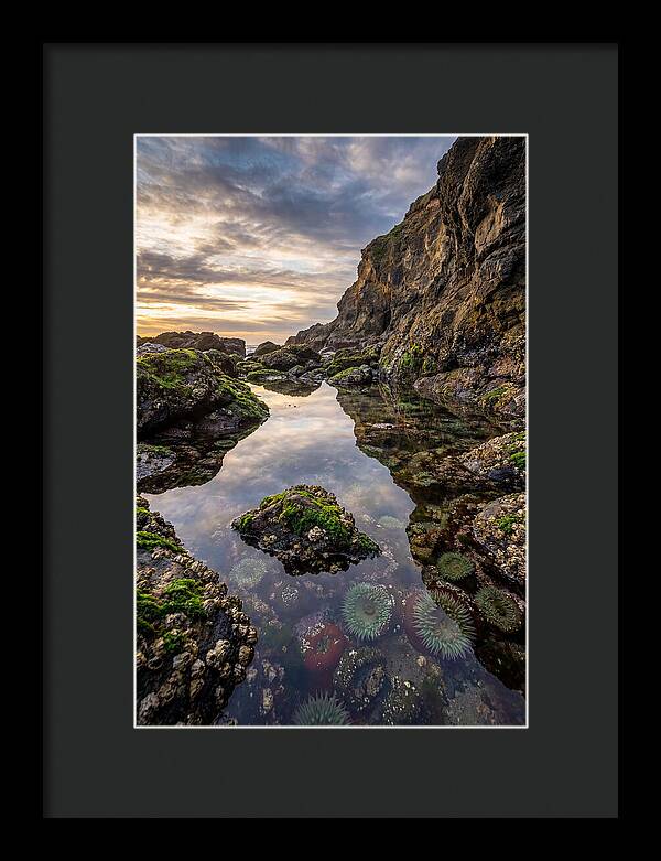 Tide Pool Reflections